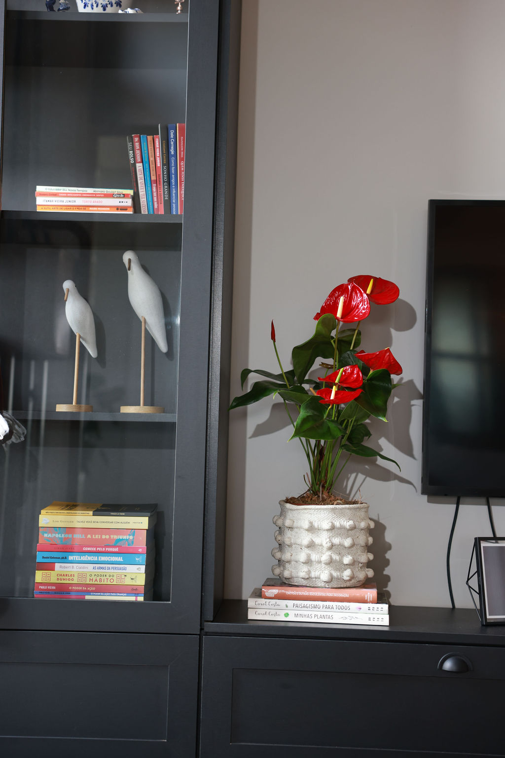 Vaso com antúrios vermelhos sobre livros, decorando sala com estante preta e TV Vaso com antúrios vermelhos sobre livros, decorando sala com estante preta e TV