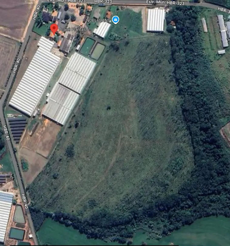 Vista aérea da sede da Arace Plantas com estufas de cultivo e área verde