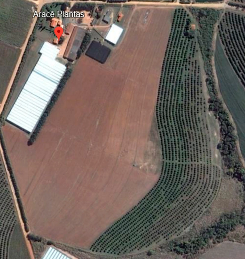 Vista aérea de unidade rural da Arace Plantas com área de cultivo, estufas e plantações em linha