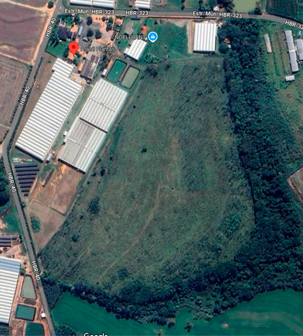 Vista aérea da estrutura da Arace Plantas com estufas, painéis solares e tanques de irrigação